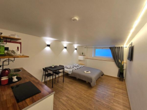 T3 Studio apartment Klaipeda
